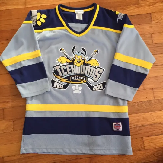 Discover DisneyLand Pluto Icehounds Size Small hockey jersey - WDW Hockey EUC Embroidered