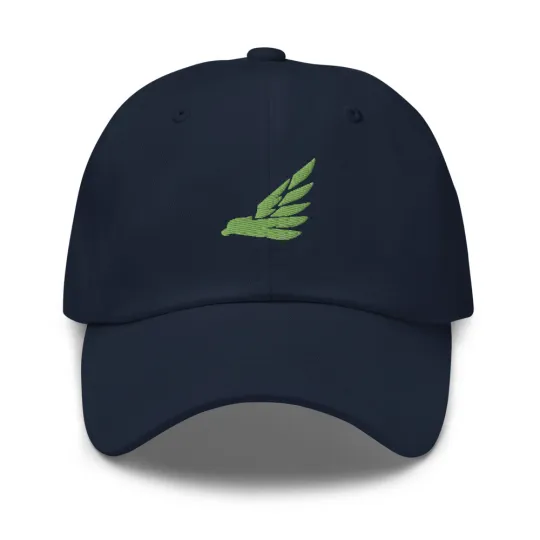 Discover Seattle Seahawks Embroidered Vintage Dad Cap Baseball Hat