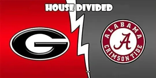 Discover GA Bulldogs Crimson Tide Logo Flag with Grommets House Divided
