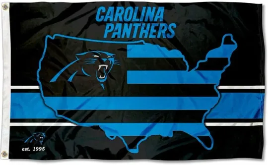 Discover Carolina Panthers USA Logo Flag with Grommets Football Decor