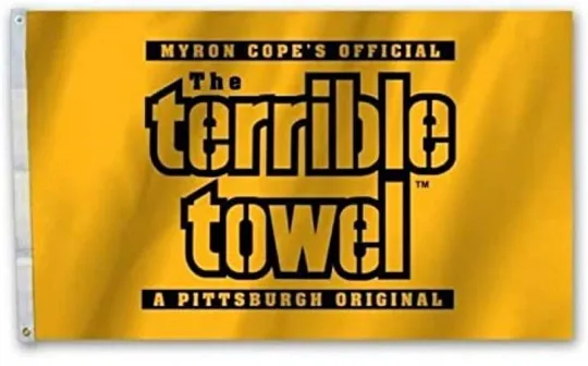 Discover Pittsburgh Steeler Football Terrace Flag