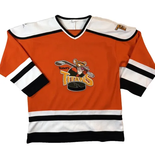 Discover Vintage 90s Disney Tigger’s Titans Hockey Jersey