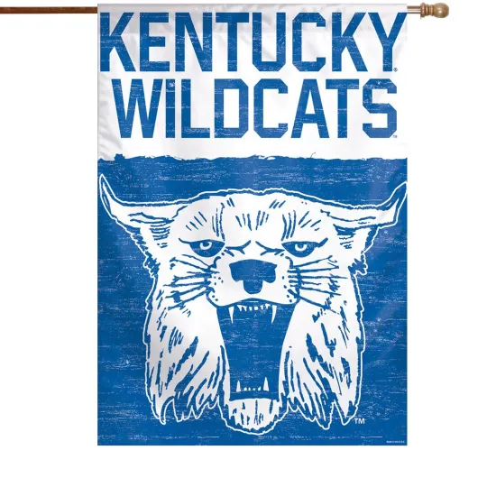 Discover WinCraft Kentucky Wildcats 28" x 40" College Vault Single-Sided House Banner