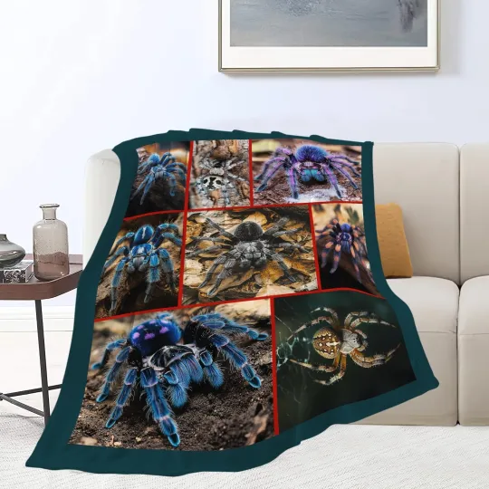 Discover Spider Throw Blanket Soft Cozy Warm Fuzzy Fleece Plush Lover Decor