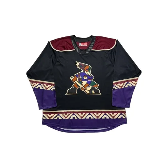 Discover Tucson Roadrunners AHL Hockey Jersey CCM