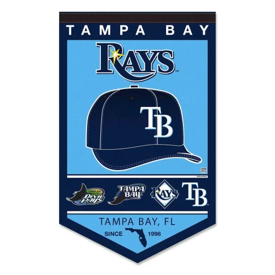 Tampa Bay Rays Heritage Logo Banner Flag