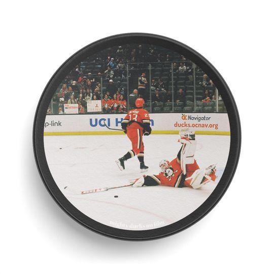 Hockey Puck - Dosty Save