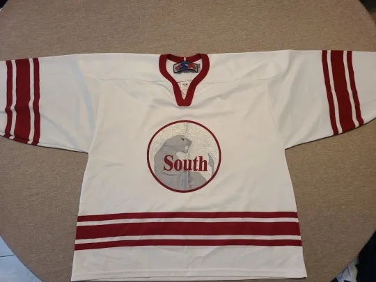 Discover South Men's Large Hockey Jersey