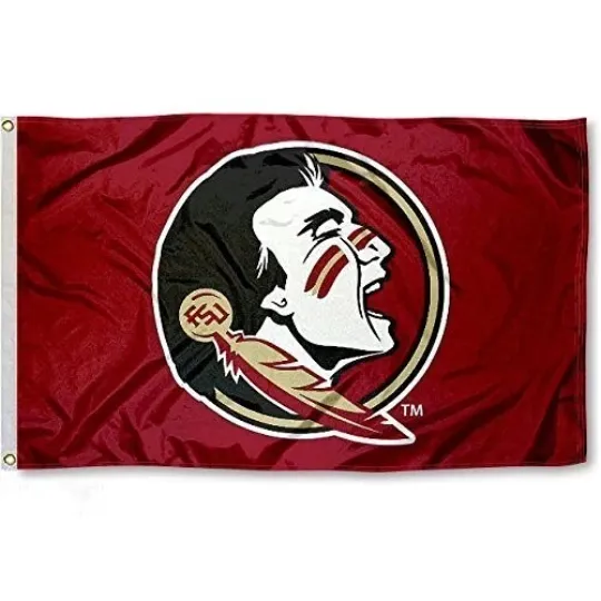 Discover Florida State Seminoles House Flag Banner Full Color Double-Sided