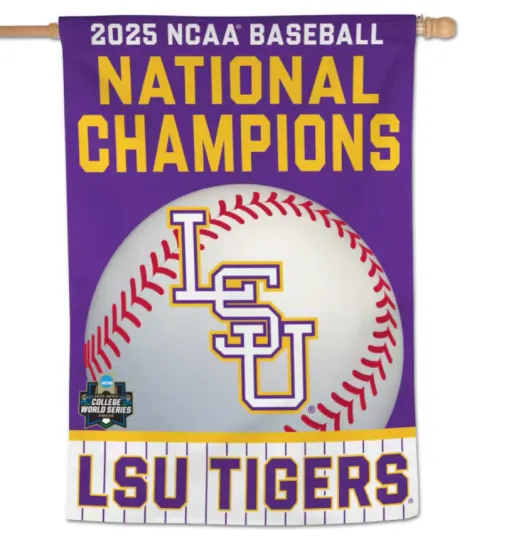 Discover 2025 College World Series LSU Tigers House Banner