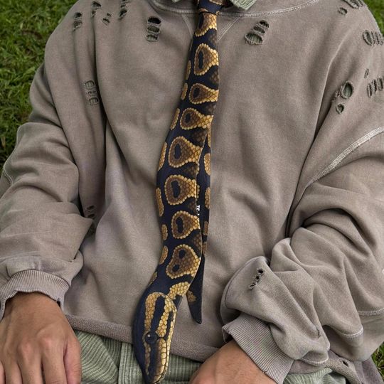 Realistic Snake Tie, Python Necktie, Reptile Animal Party Accessory, Father's Day Gift, Men Tie