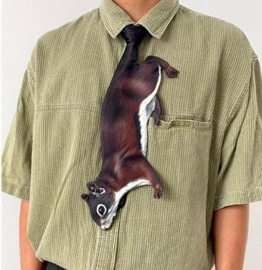 Animals Ties Shaped Tie , Squirrel Tie, Vintage Tie, Novelty Tie, Tie Accessories Holiday Gift, Gift For Him