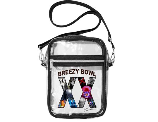 Breezy Bowl Crossbody Bag, Clear Stadium Purse, Concert Handbag, Trendy Bag