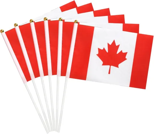 6PCS Hand-held Small Canada Flags For World Cup 2026【HD Printing】【Lightwei
