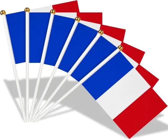 French Hand Held Flags for World Cup Decorations 2026