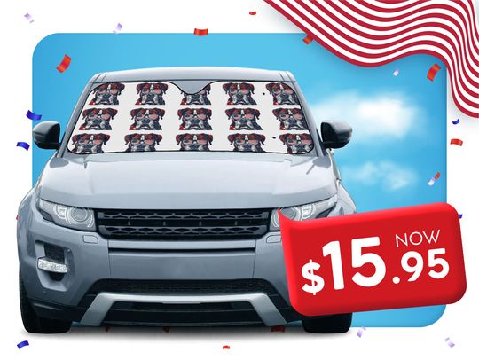 Car Sun Shades