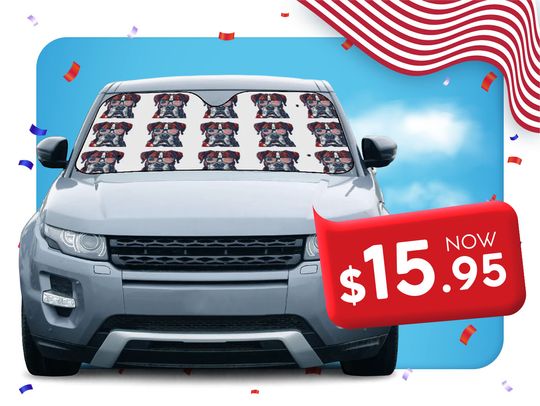 Car Sun Shades