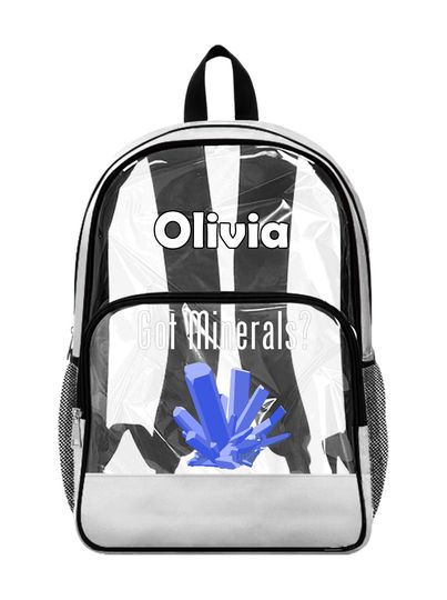 Starcraft Clear Backpack, Custom Transparent Backpack