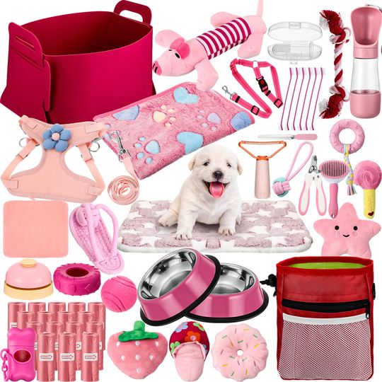 Animals & Pet Supplies