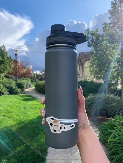 OBI Wan Kenobi Your Move 2"