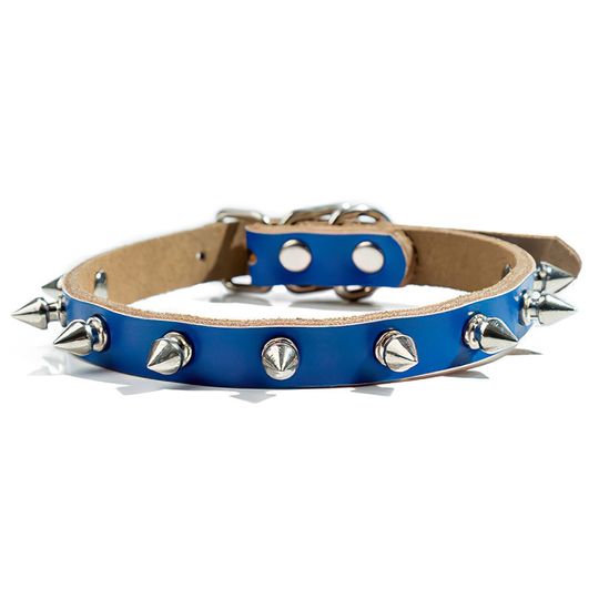 Pet Collar Blue