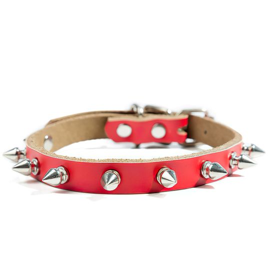 Pet Collar Blue