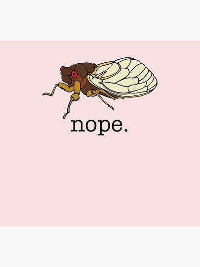 Cicada Unisex Socks Nope