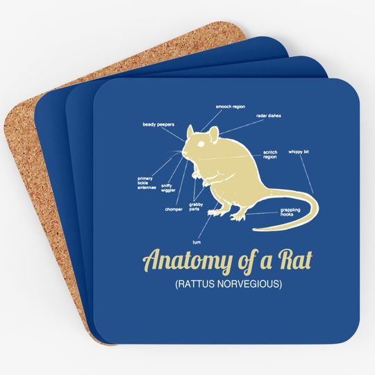 Anatomy Of Pet Rat Coaster