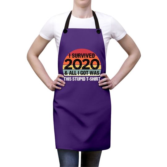 Funny 2021 I Survived 2020 And All I Got Was This Stupid Apron