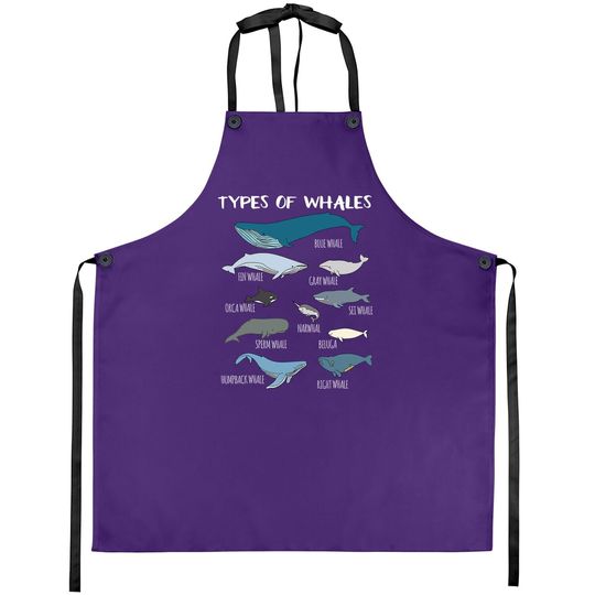 Types Of Whales Cute Ocean Mammals Guide Apron
