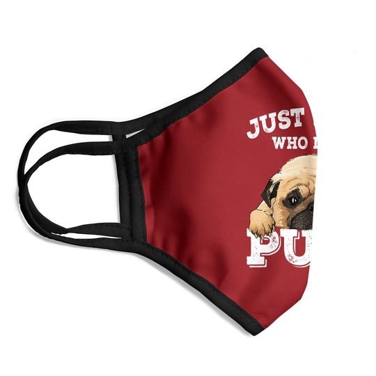 Just A Boy Who Loves Pugs Pug Lover Gift For Boys Face Mask