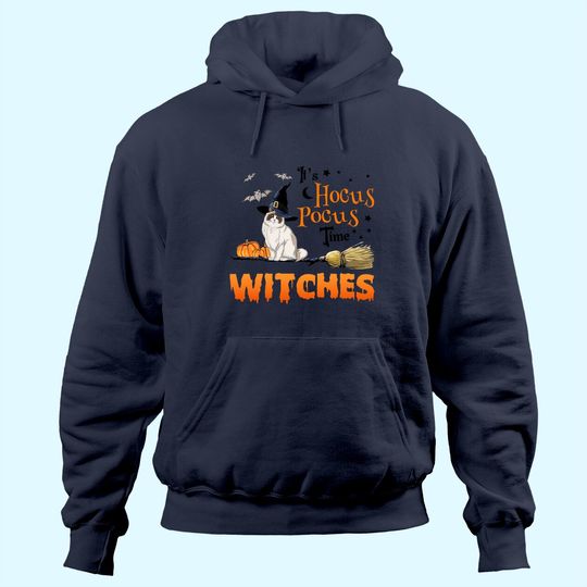 Hocus Pocus Time Wiches Cat Classic Hoodie