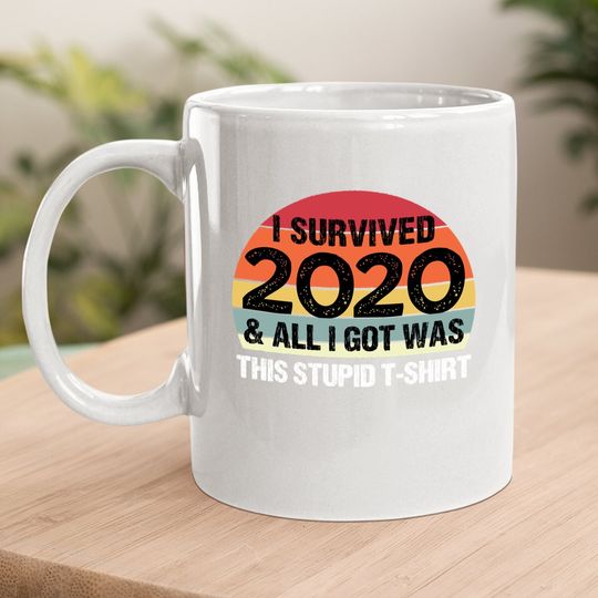 Funny 2021 I Survived 2020 And All I Got Was This Stupid Coffee  mug