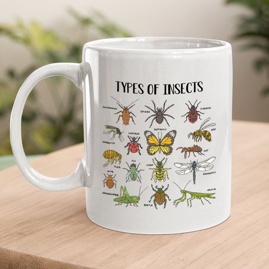 Bug Roach Mealy, Types Of Insects Gift For Coffee Mug