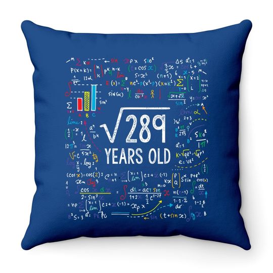 Square Root Of 289 17th Birthday 17 Year Old Gifts Math Bday Throw Pillow