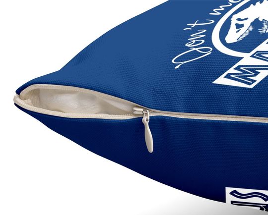 Dont Mess With Mamasaurus Youll Get Jurasskicked Throw Pillow