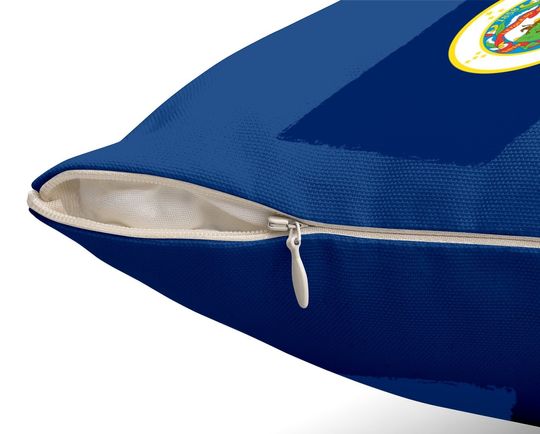 Minnesota Flag Throw Pillow