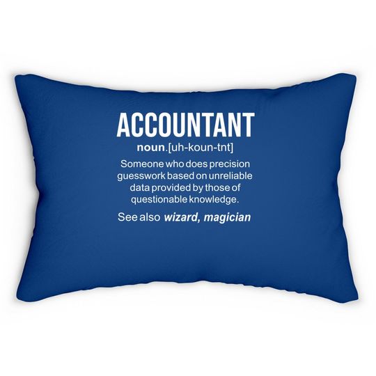 Accountant Funny Job Title Dictionary Profession Definition Lumbar Pillow