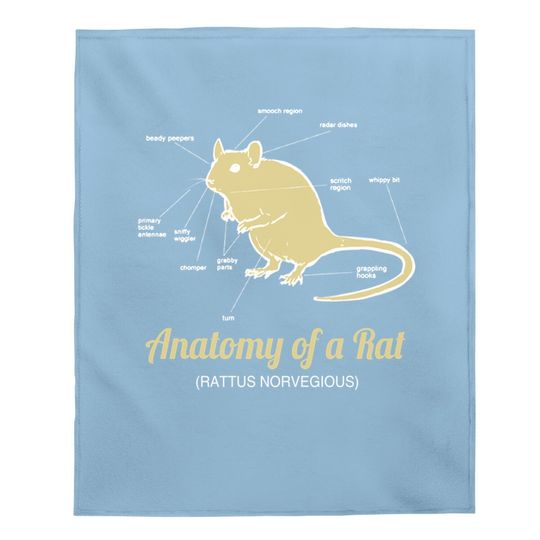Anatomy Of Pet Rat Baby Blanket
