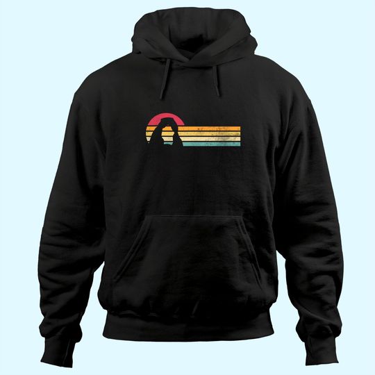 Retro Vintage Delicate Arch Silhouette Arches National Park Hoodie