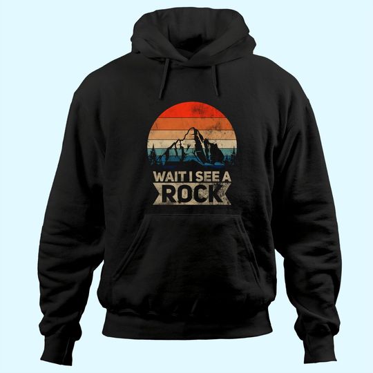 Discover Wait I See A Rock Geologist Idea Hoodie