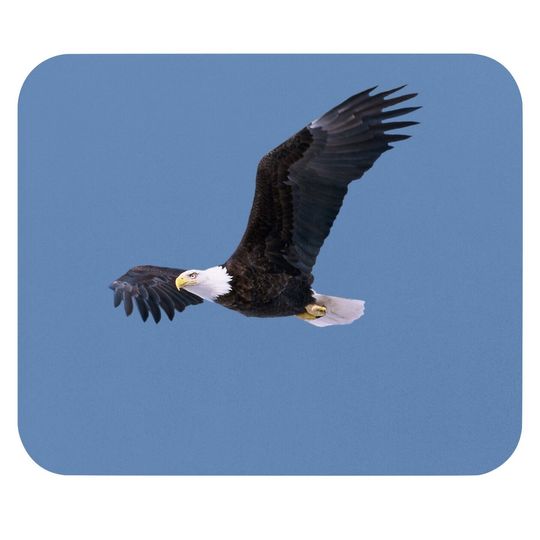 Elegant American Bald Eagle In Flight Photo Portrait Mouse Pad