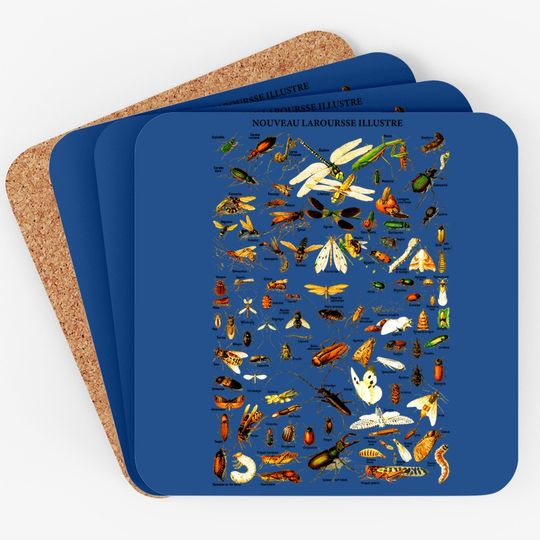 Cicada 2021 Coaster