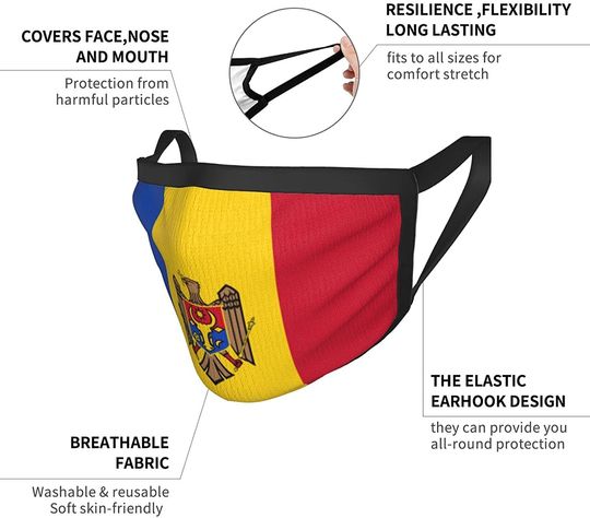 Flag of Moldova Funny Face Mask