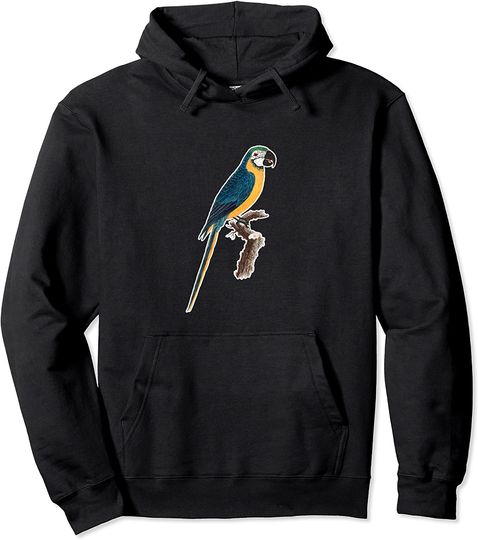 Rainforest Birds Bird Watchers Pullover Hoodie