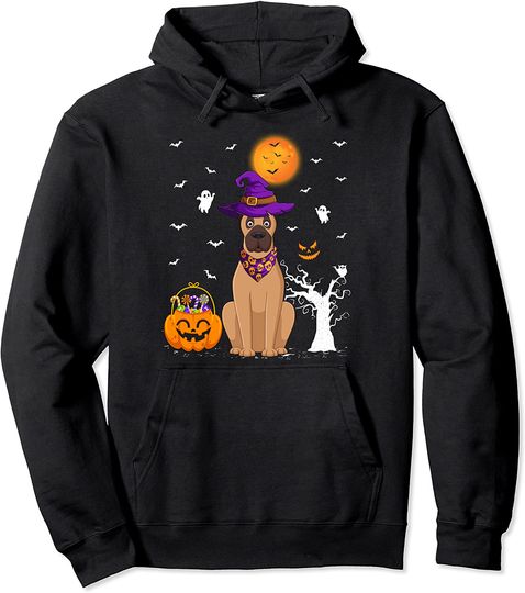 Funny Pumpkin Witch Hat Vizsla Dog Halloween Pullover Hoodie