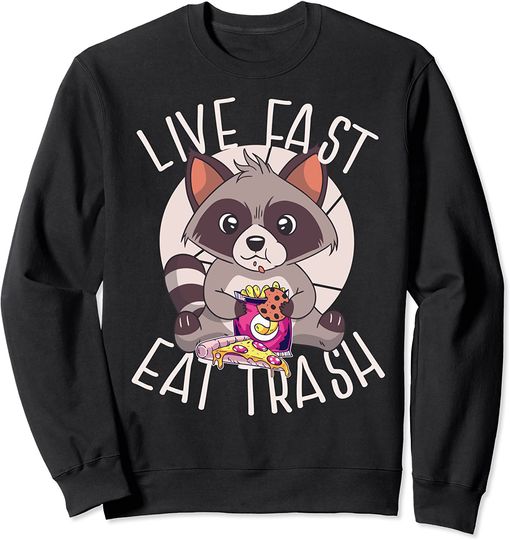 Live Fast Eat Trash Raccoon Eating Junk Food Meme Sweatshirt