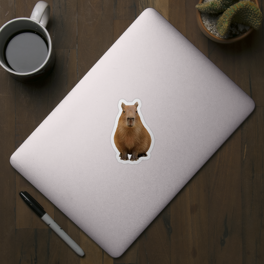 Capybara - Capybara - Sticker