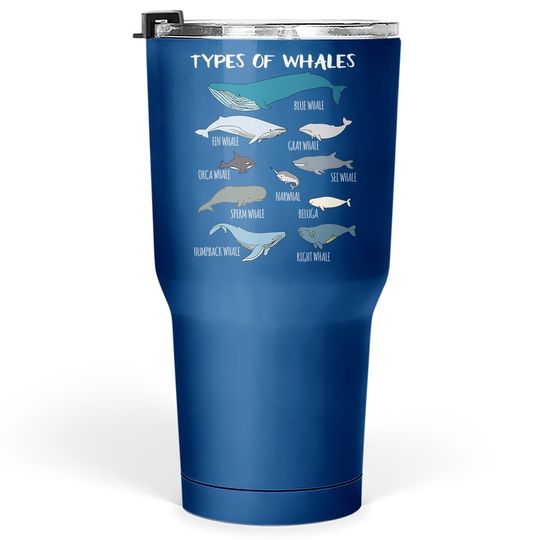 Types Of Whales Cute Ocean Mammals Guide Tumbler 30 Oz