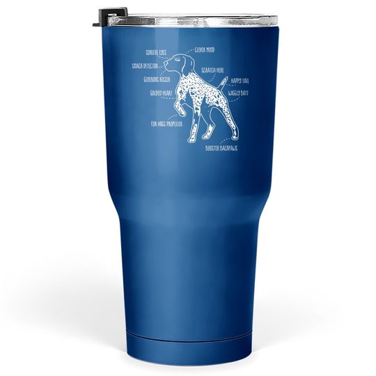 Anatomy Of A German Shorthaired Pointer Tumbler 30 Oz
